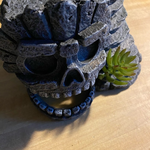 Reptile fancy rock - Picture 2 of 5